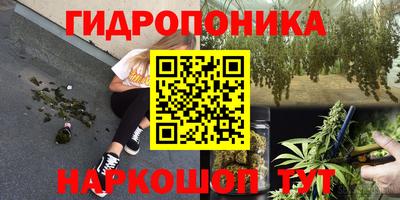 твердый Лесосибирск